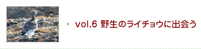 vol.6 野生のライチョウに出会う