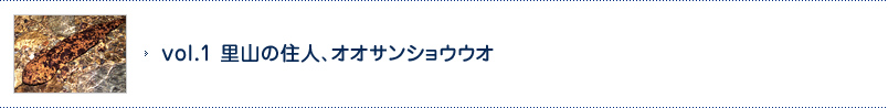 vol.1 里山の住人、オオサンショウウオ