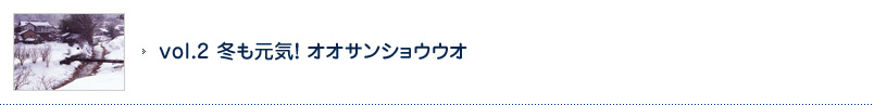 vol.2 冬も元気！　オオサンショウウオ