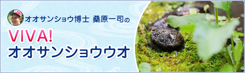 オオサンショウ博士　桑原一司の「VIVA！　オオサンショウウオ」