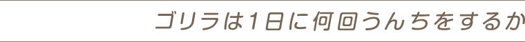 ゴリラは1日に何回うんちをするか